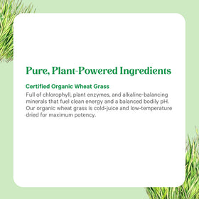 Vue de l'intérieur de la Poudre de Jus de Blé Bio PURE SYNERGY