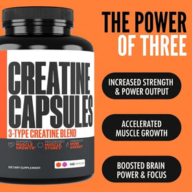 Vue de l'intérieur des capsules de créatine Crazy Muscle