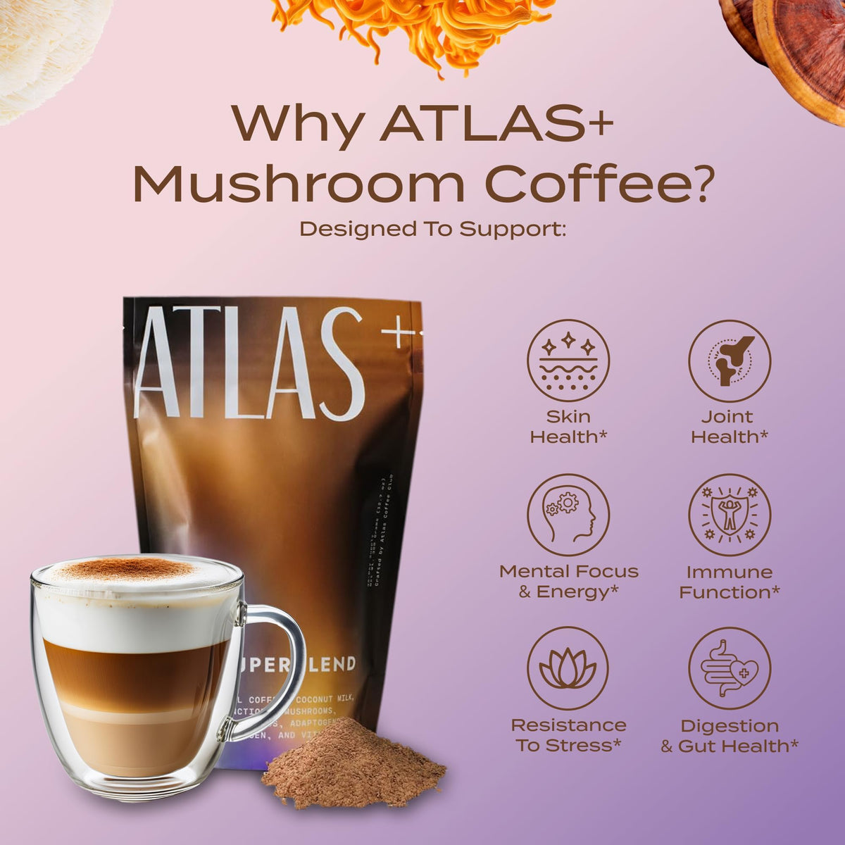 Vue de l'intérieur du sac d'Atlas Latte Superblend avec poudre de café
