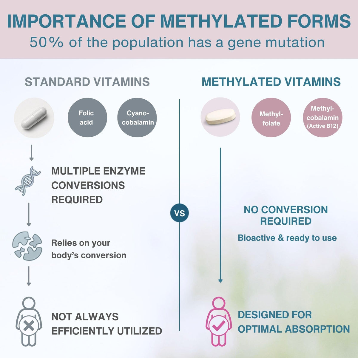 Vue de la boîte de multivitamines prénatales Igennus