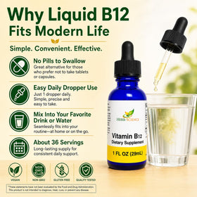 Vue de la bouteille de Vitamine B12 Herb-Science sur fond blanc