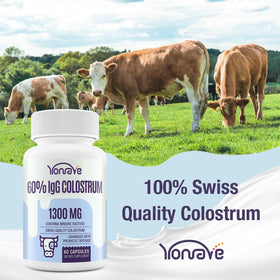 Vue de la composition des capsules de colostrum bovin Yonrave