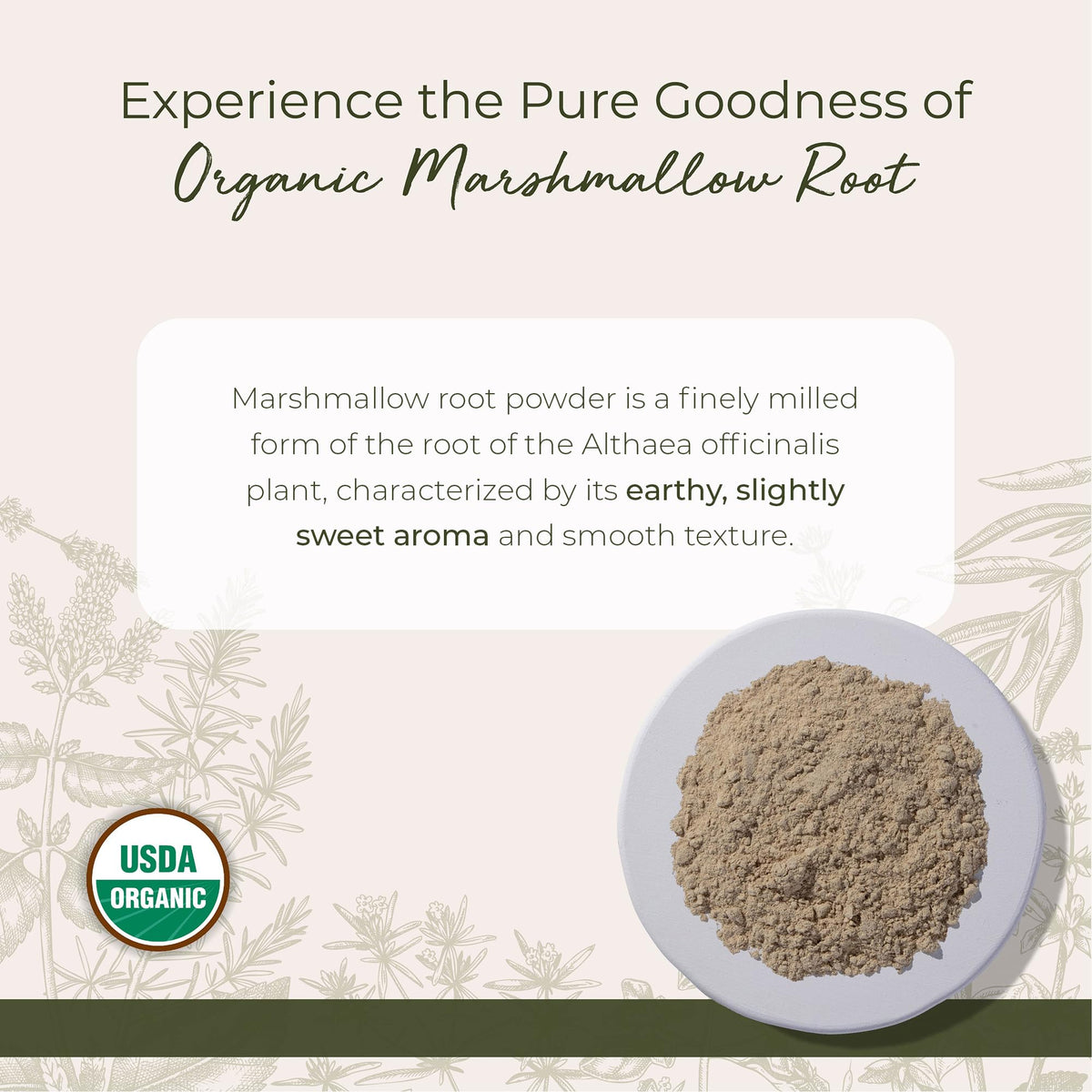 Vue de la poudre de racine de guimauve bio Starwest Botanicals