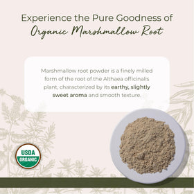 Vue de la poudre de racine de guimauve bio Starwest Botanicals