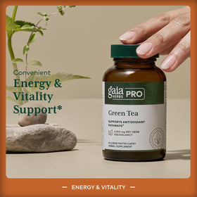 Vue de près de l'étiquette du produit Gaia Herbs PRO Thé Vert