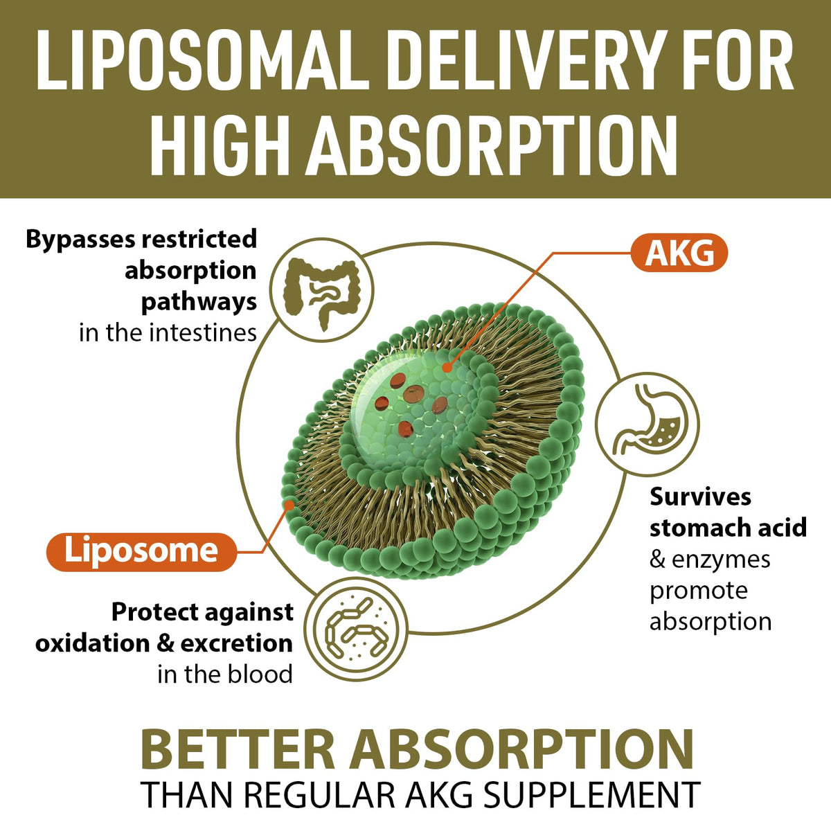 Vue de près des gélules AJAXERRUE Calcium AKG Liposomal