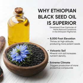 Vue de près des gélules d'huile de graines noires éthiopiennes PURELYNUTRIENT