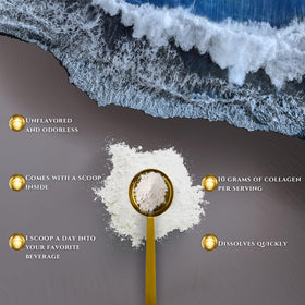 Vue de près des ingrédients de la poudre de collagène GOLDOPUS