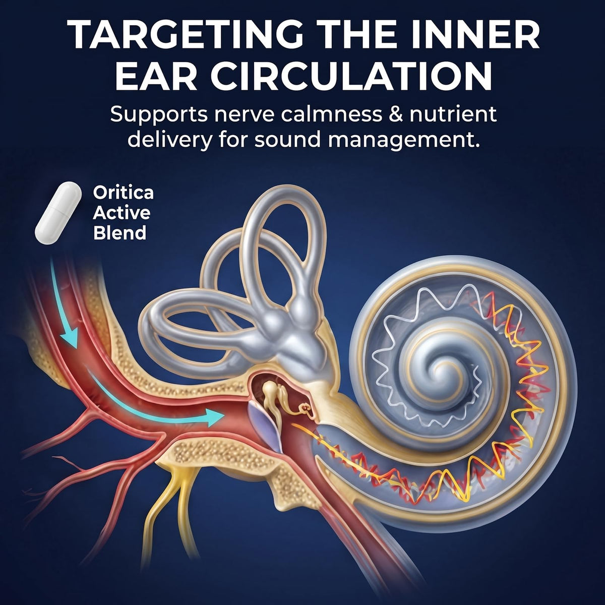 Vue de profil du flacon ORITICA Tinnitus