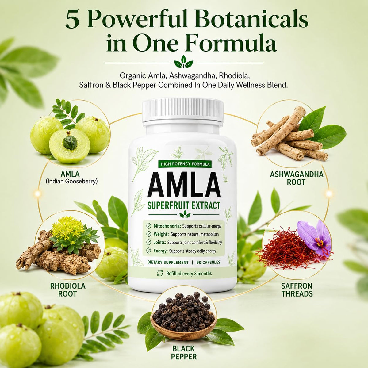 Vue des capsules d'Amla bio linnavarv à l'intérieur de la bouteille