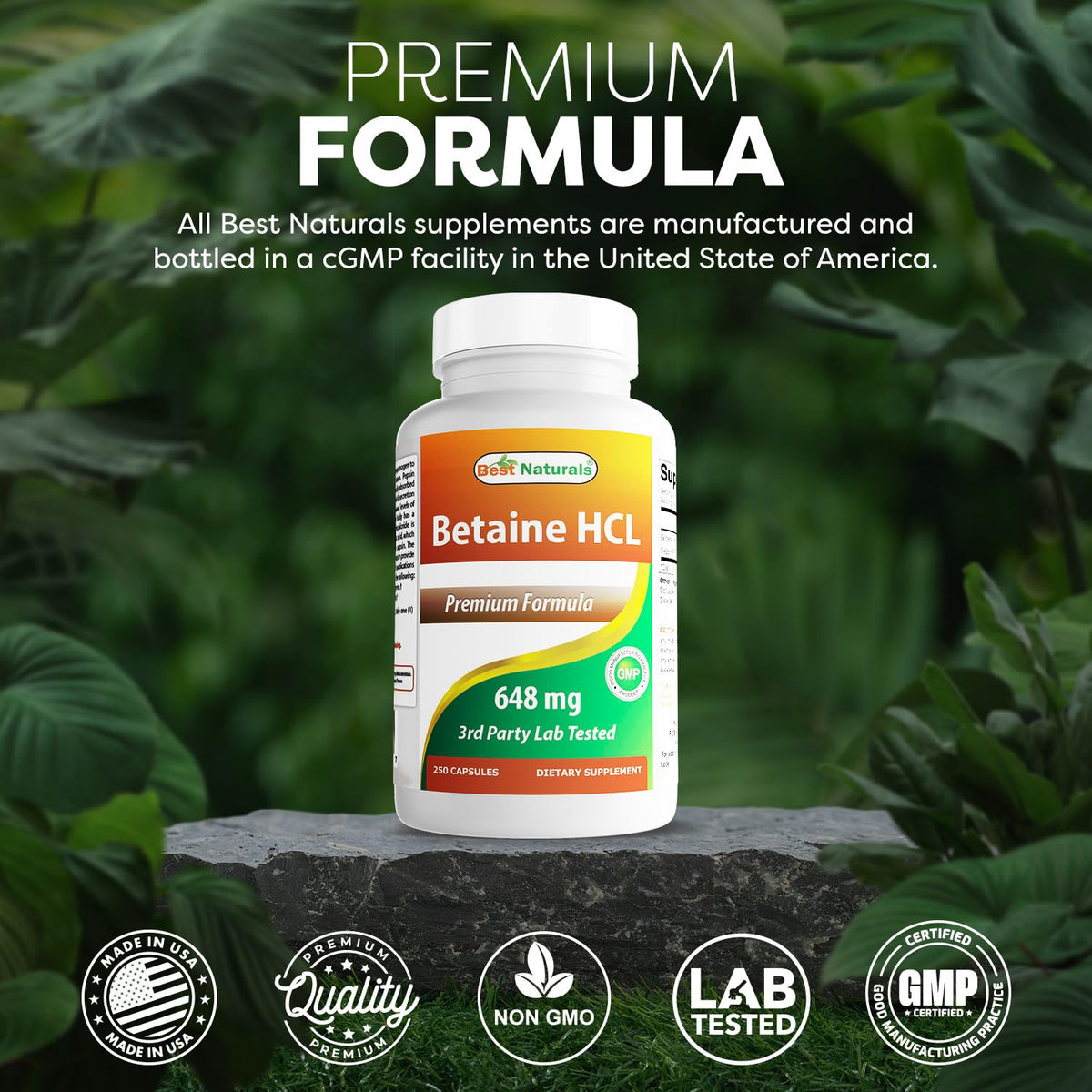Vue des capsules de Betaïne HCL dans une main