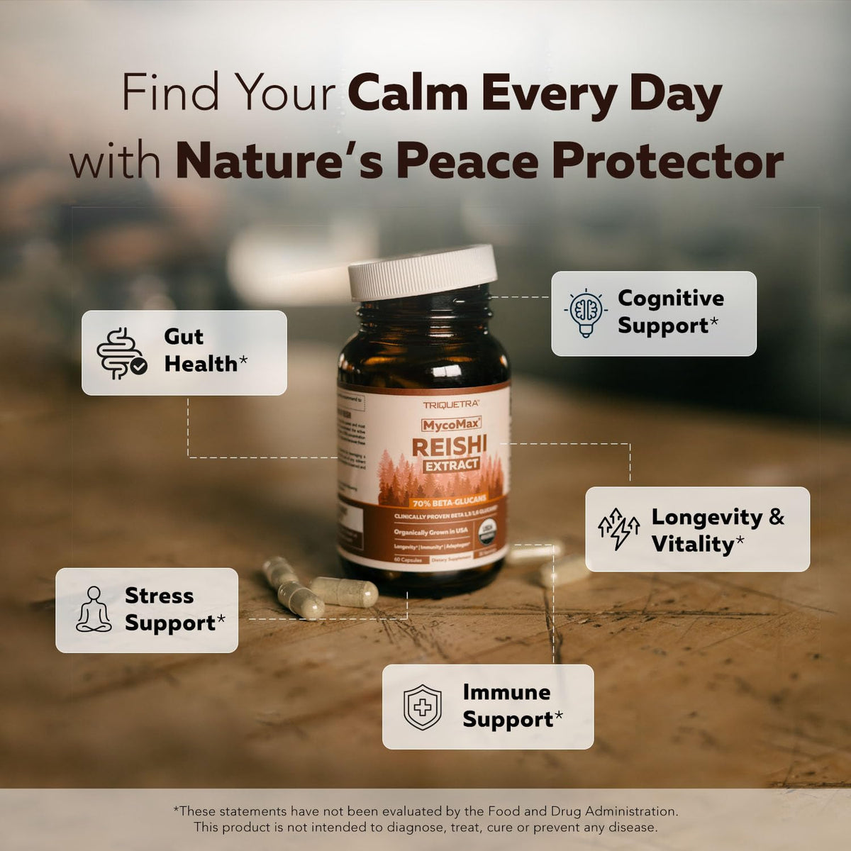 Vue des capsules de champignon Reishi bio Triquetra Health
