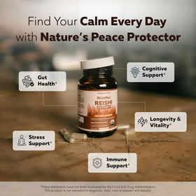 Vue des capsules de champignon Reishi bio Triquetra Health