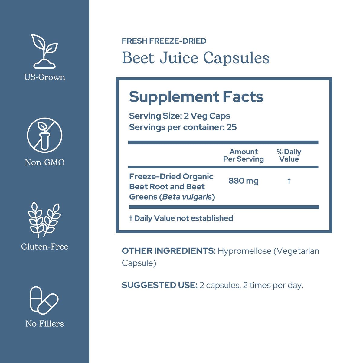 Vue des capsules de jus de betterave bio ECLECTIC INSTITUTE