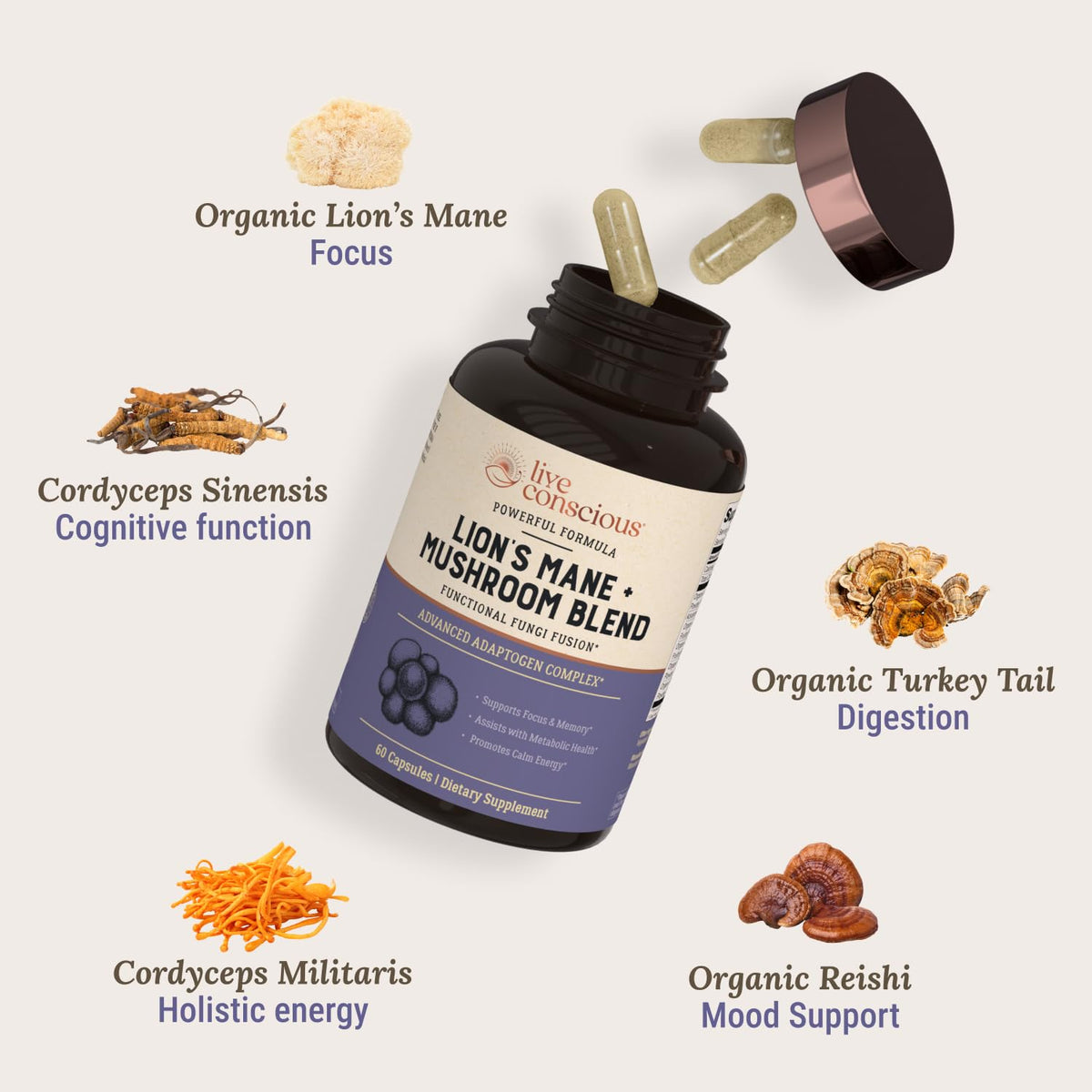 Vue des capsules de Lion's Mane de Live Conscious