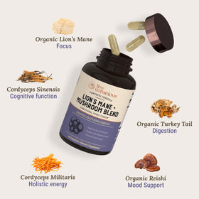 Vue des capsules de Lion's Mane de Live Conscious