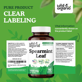 Vue des capsules de menthe verte Wild & Organic dans la main