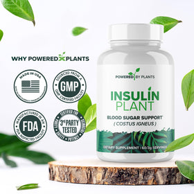 Vue des capsules de plantes insuline sur une table