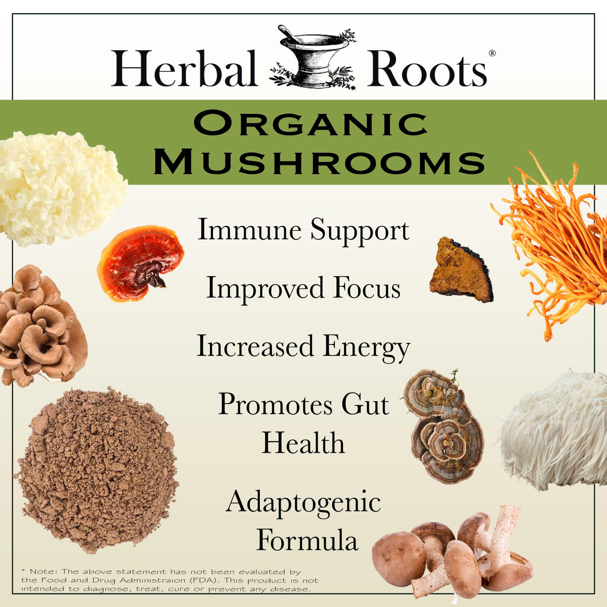 Vue des capsules Herbal Roots, couleur végétale