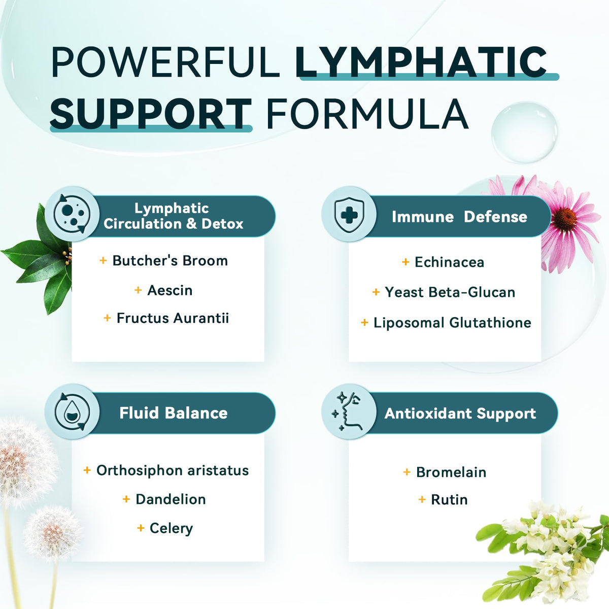 Vue des capsules iMATCHME pour drainage lymphatique