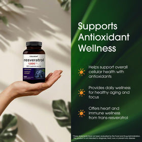Vue des capsules NatureBell Resveratrol dans une main
