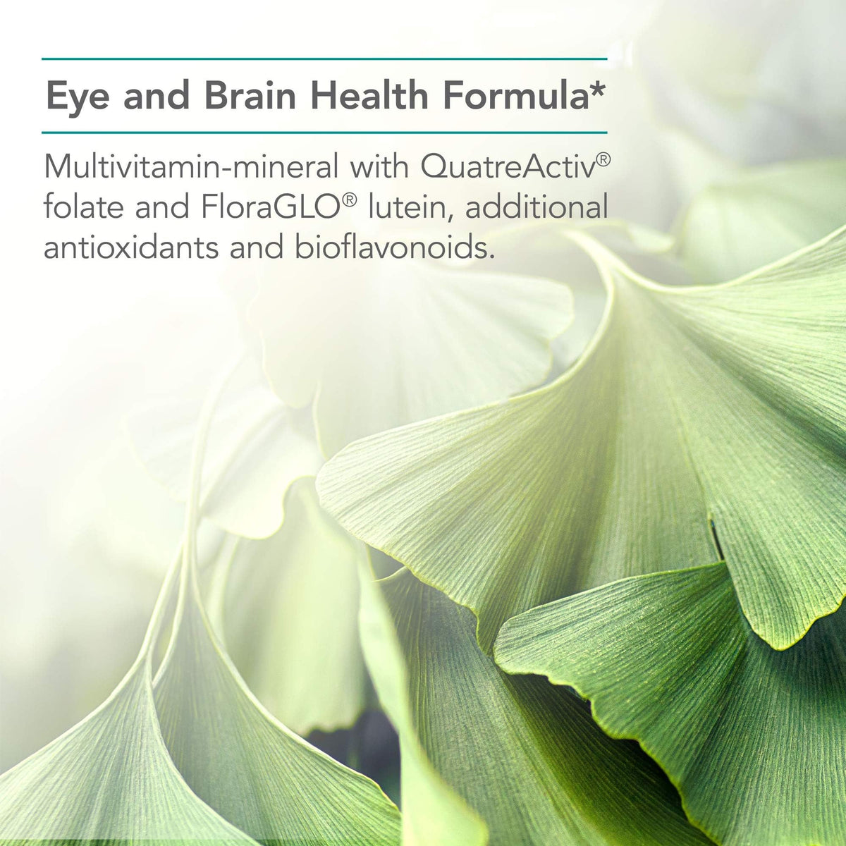 Vue des capsules NutriCology OcuDyne II dans la main