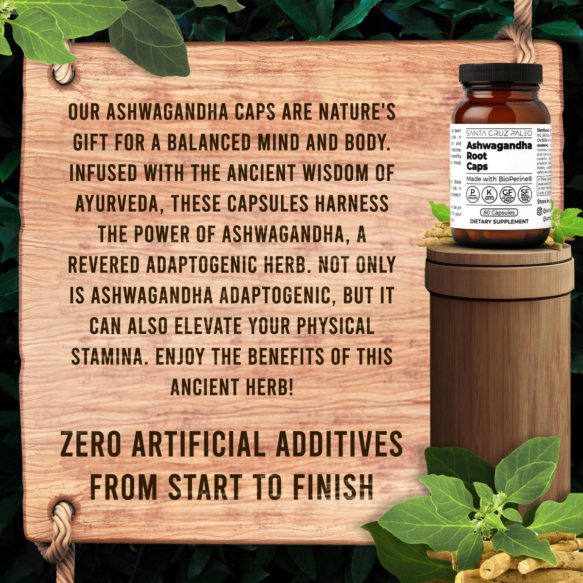 Vue des capsules Santa Cruz Paleo sur une table en bois
