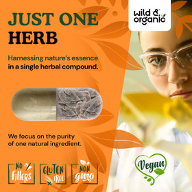 Vue des capsules Wild & Organic Turkey Tail sur une table