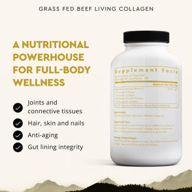 Vue des gélules de collagène vivant Ancestral Supplements