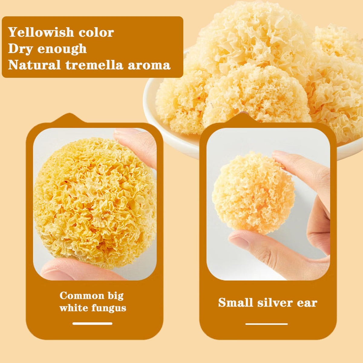 Vue détaillée de Tremella Fuciformis séché