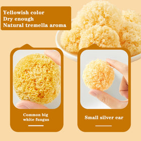Vue détaillée de Tremella Fuciformis séché