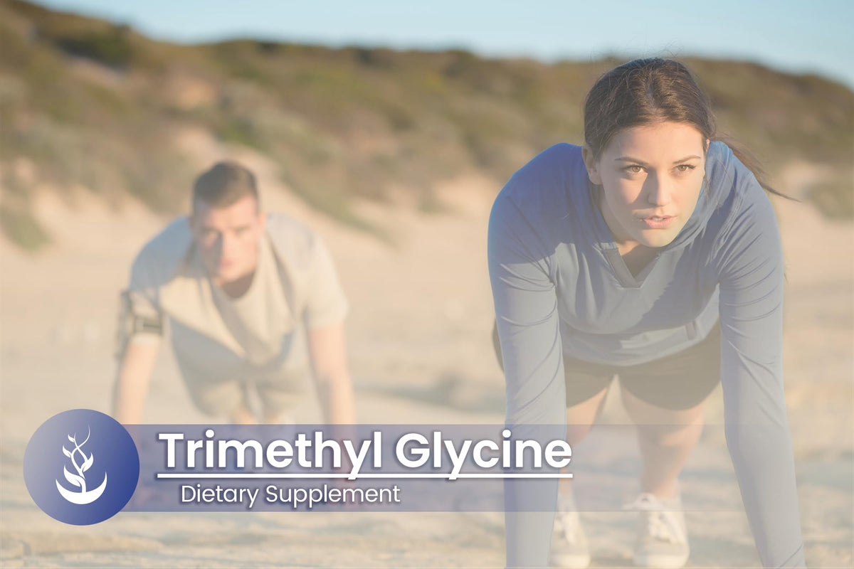 Vue du dos de l'emballage des gélules de TMG Triméthylglycine