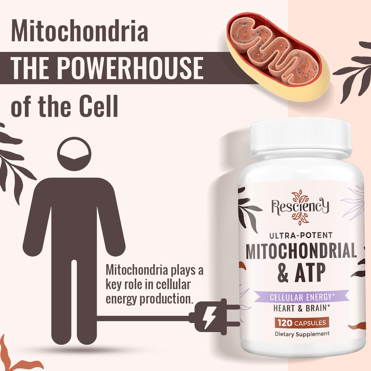 Vue du flacon de compléments mitochondriaux Resciency avec capsules