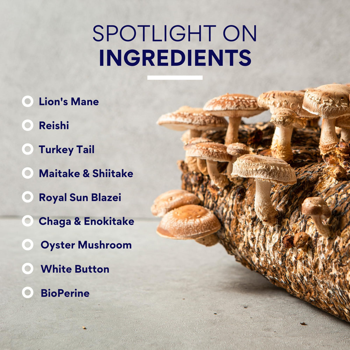 Vue du flacon de Complexe de Champignons sur une table