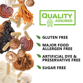 Vue du flacon de Nature's Nutrition Complément Champignon 10 en 1