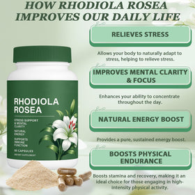 Vue du flacon de Rhodiola Rosea Raipult avec capsules à côté