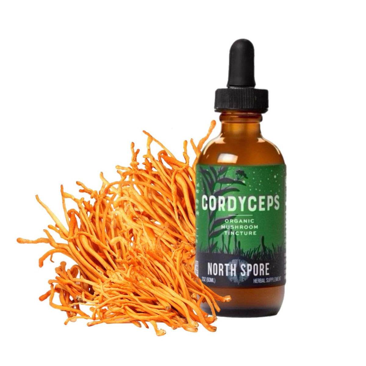 Vue du flacon de Tincture de Cordyceps Bio sur un fond naturel.