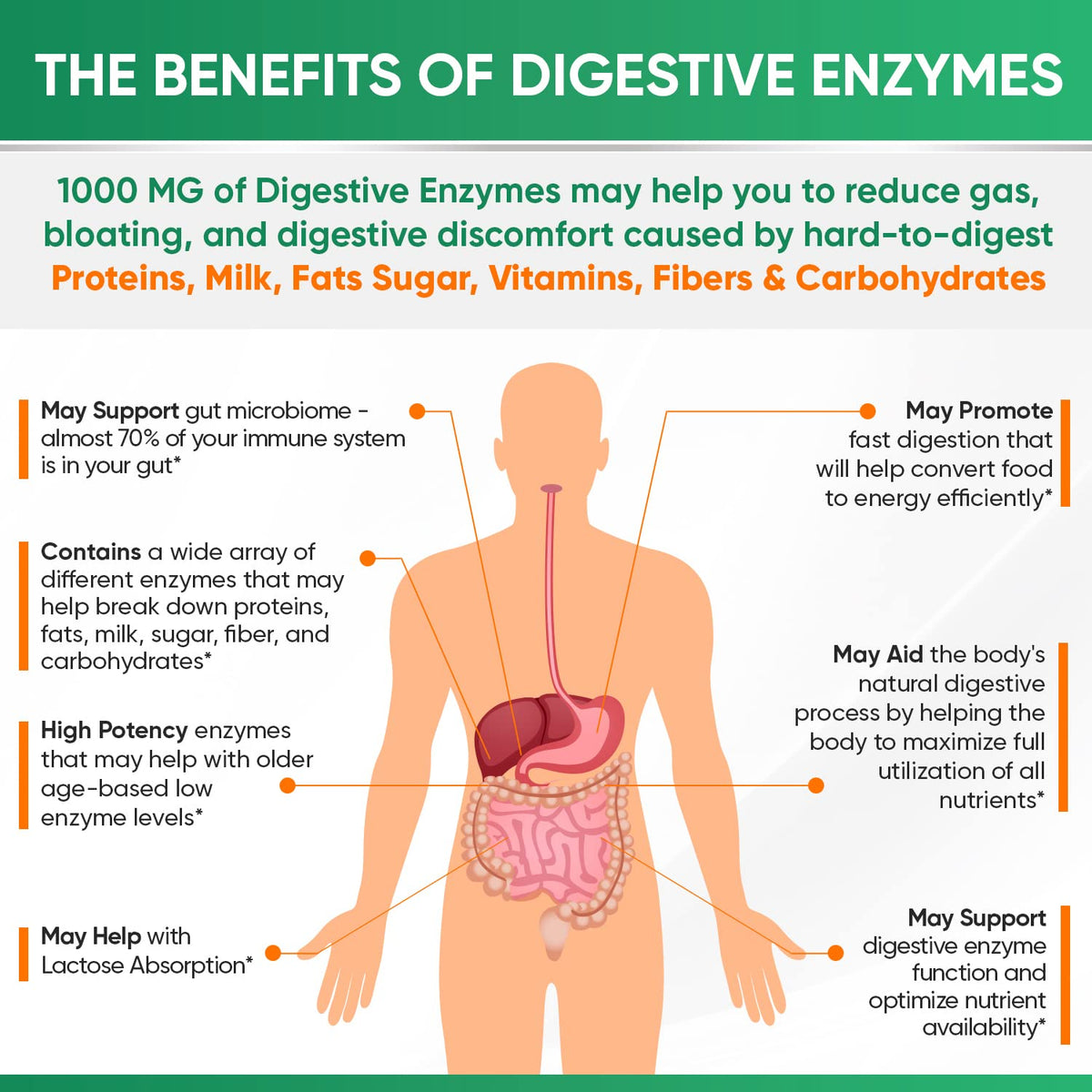 Vue du flacon de Wholesome Wellness Enzymes daily sur une table