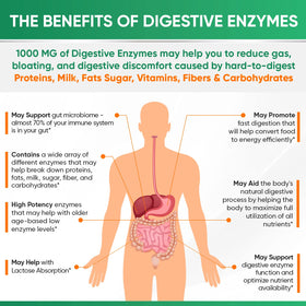 Vue du flacon de Wholesome Wellness Enzymes daily sur une table