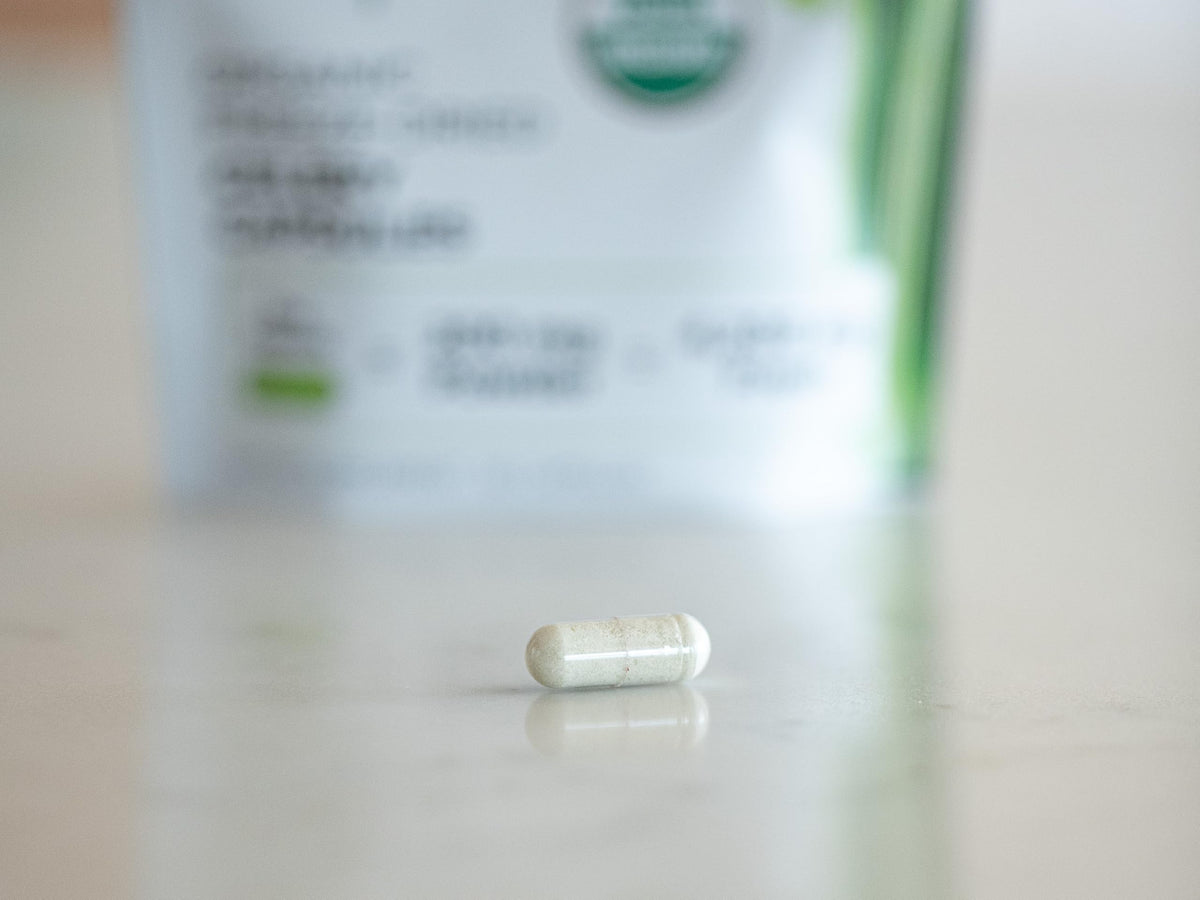 Vue en gros plan des capsules de céleri KOYAH