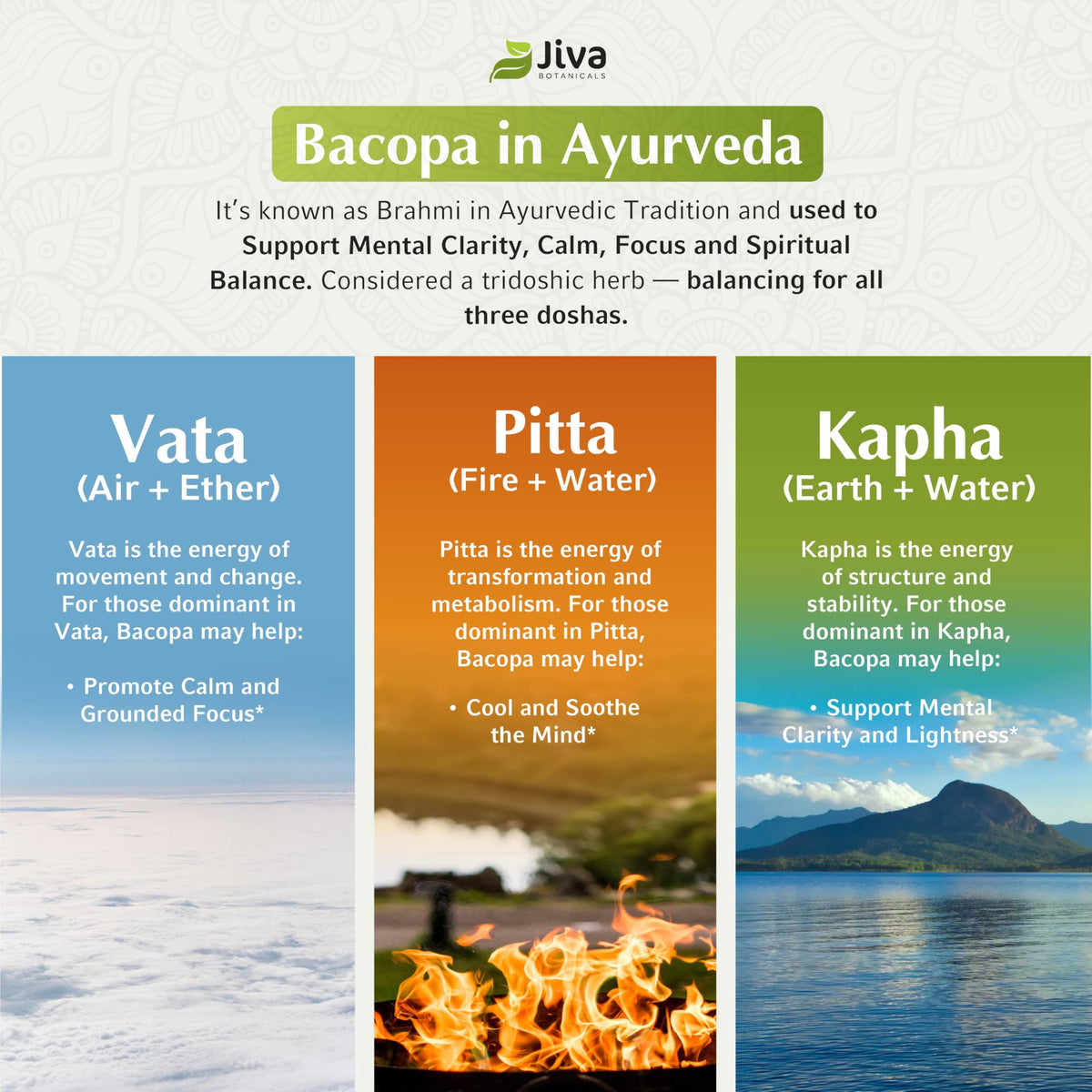 Vue en gros plan des capsules Jiva Botanicals Bacopa Monnieri