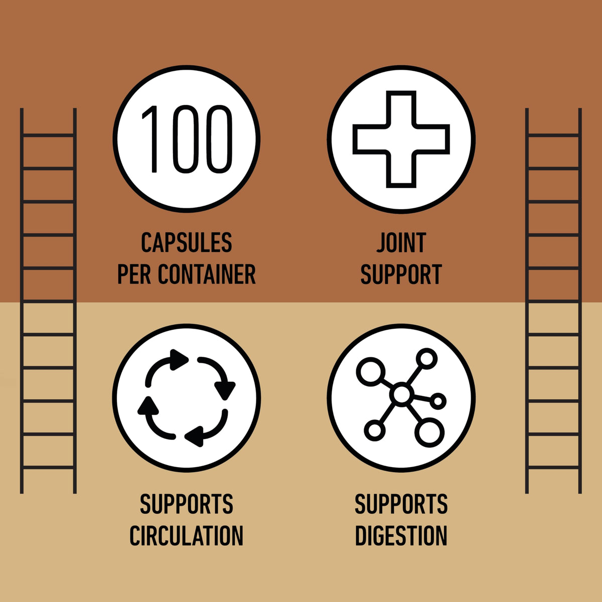 Vue latérale de l'emballage des capsules de Curcuma Bio