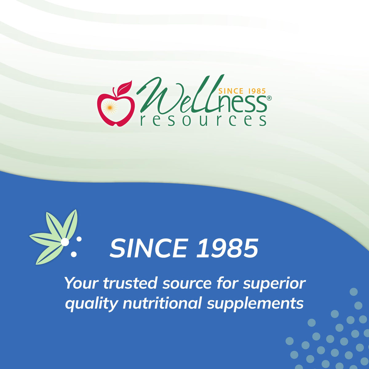 Vue latérale de la boîte de Fer Bisglycinate Wellness Resources