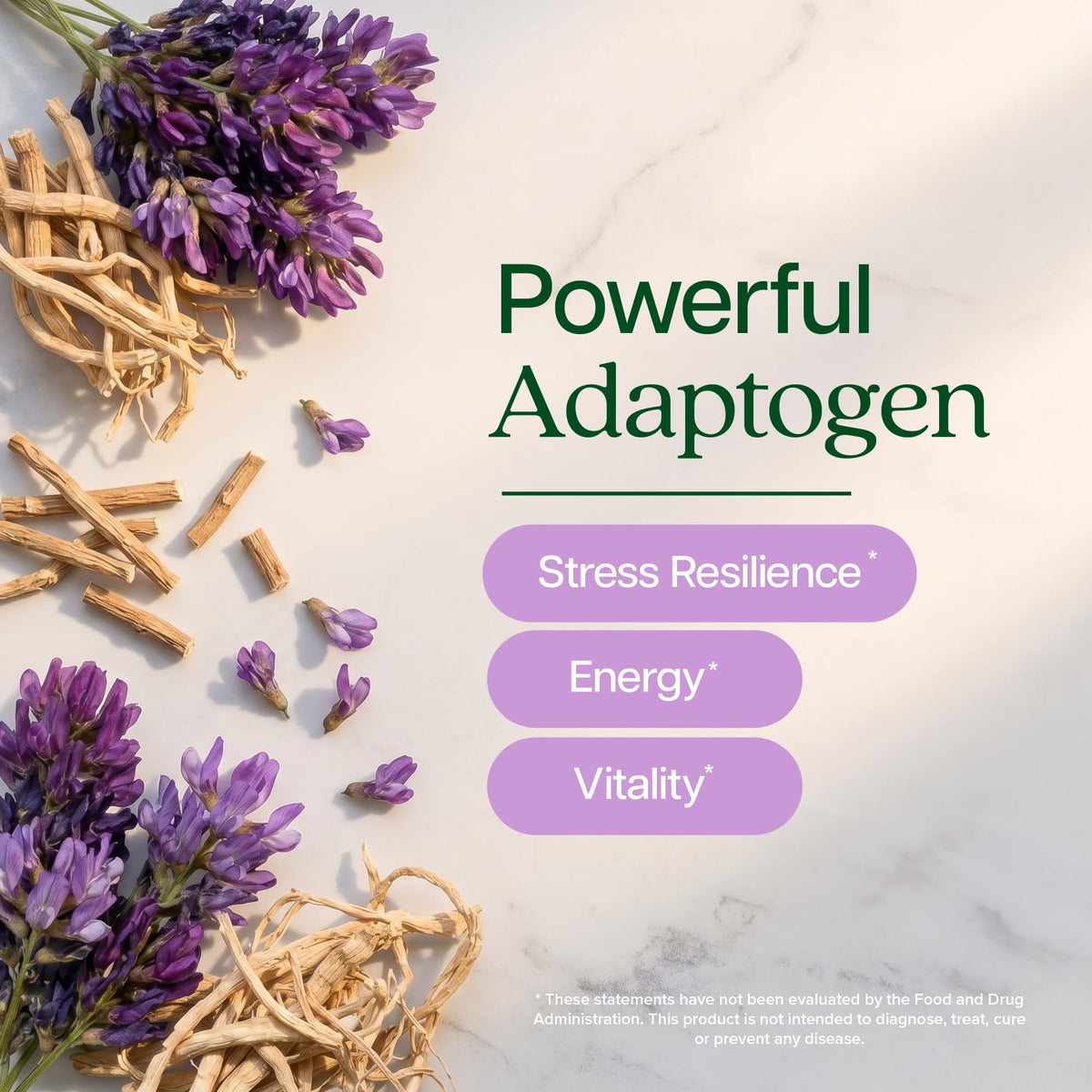 Vue latérale de la bouteille d'Astragalus Racine Purely Holistic