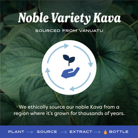 Vue latérale de la bouteille d'extrait de Kava Herb Pharm