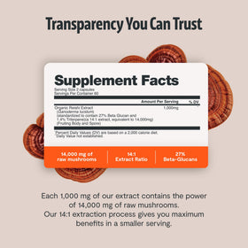 Vue latérale de la bouteille de capsules de Reishi bio
