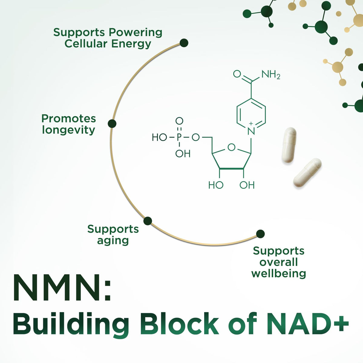 Vue latérale de la bouteille de NMN Nature's Nutrition