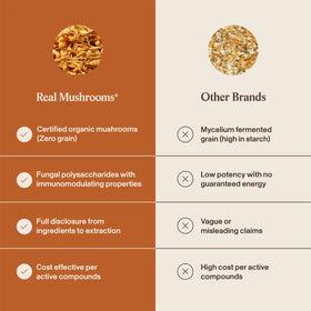 Vue latérale de la poudre de champignon Cordyceps de Real Mushrooms