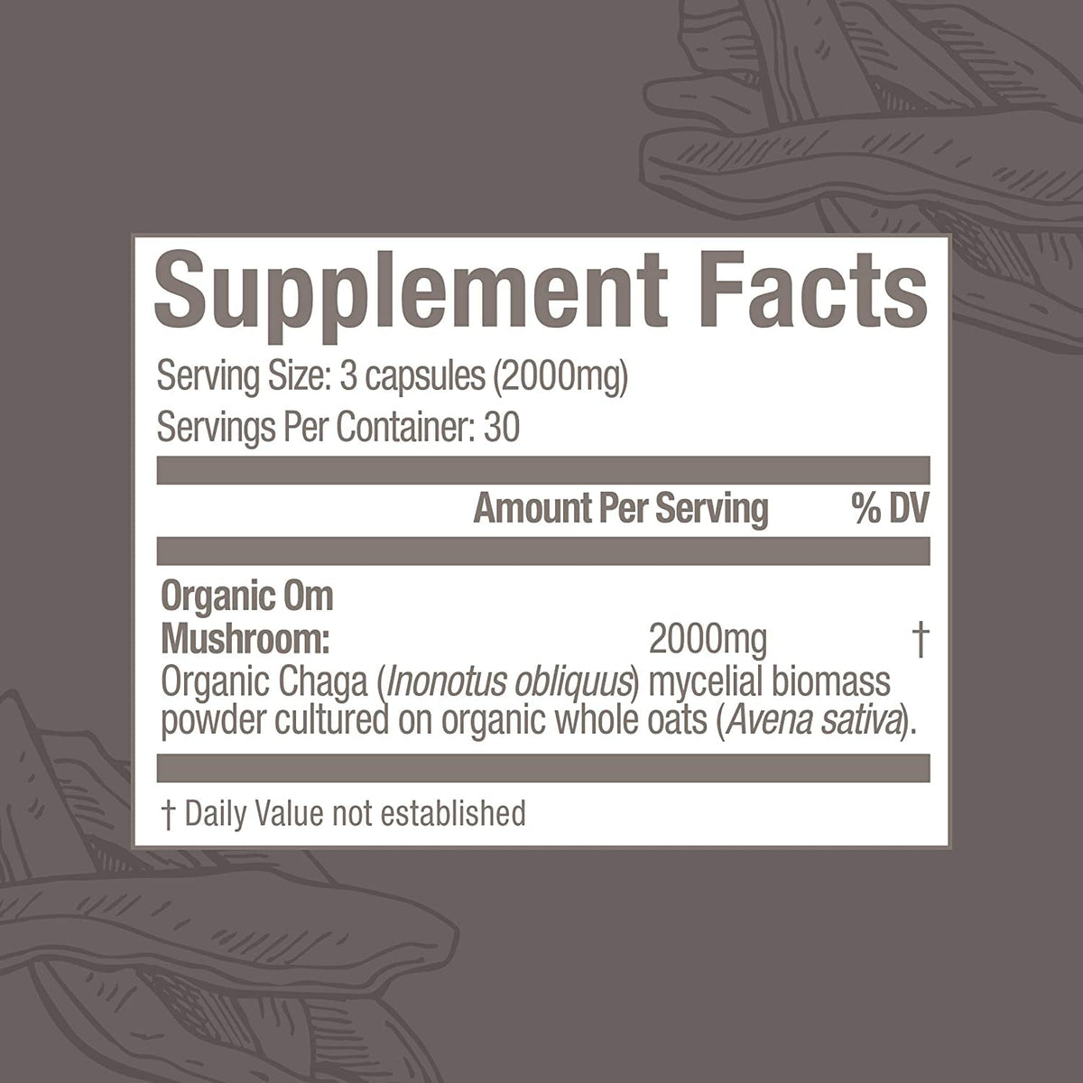 Vue latérale des capsules de champignon Chaga OM MUSHROOM
