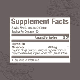 Vue latérale des capsules de champignon Chaga OM MUSHROOM